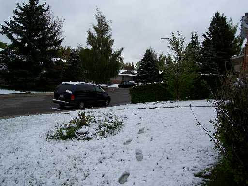 May 2007 Snow 1