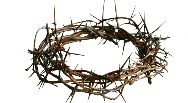 crown of thorns2